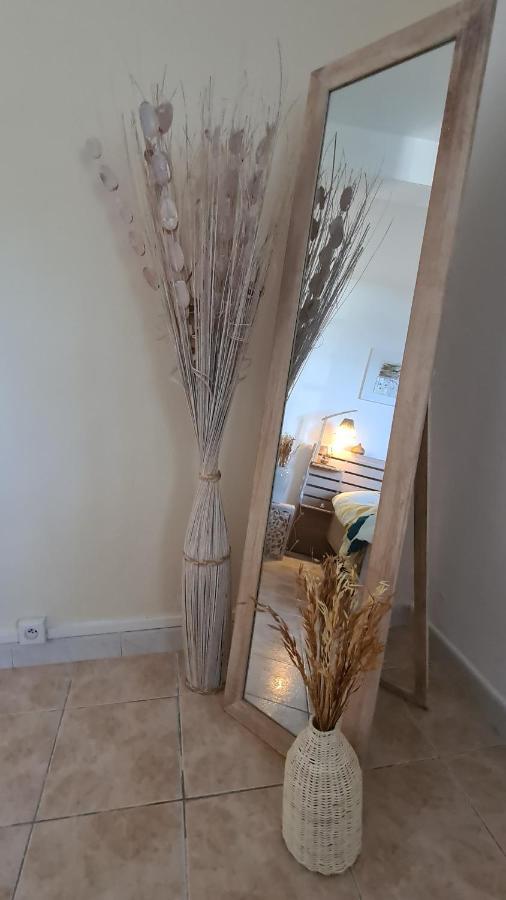 Le Cocon De Madana Apartman Saint-Joseph Kültér fotó